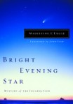 Bright evening star